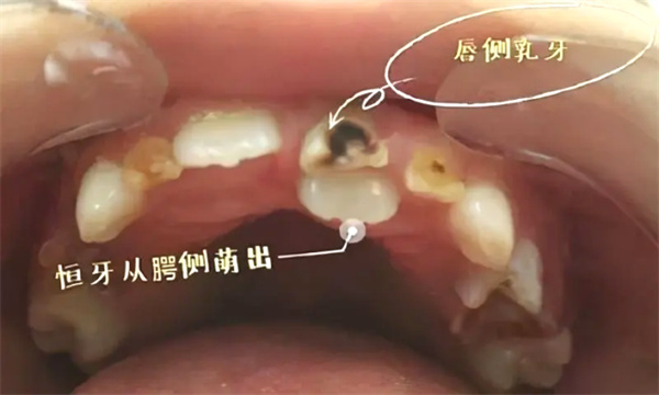 图片 49.jpg