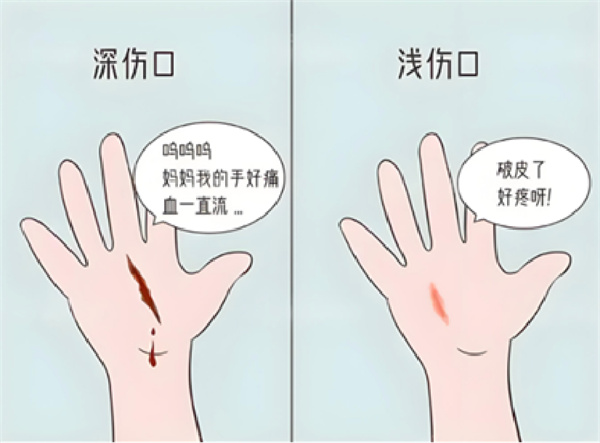 图片 95.jpg